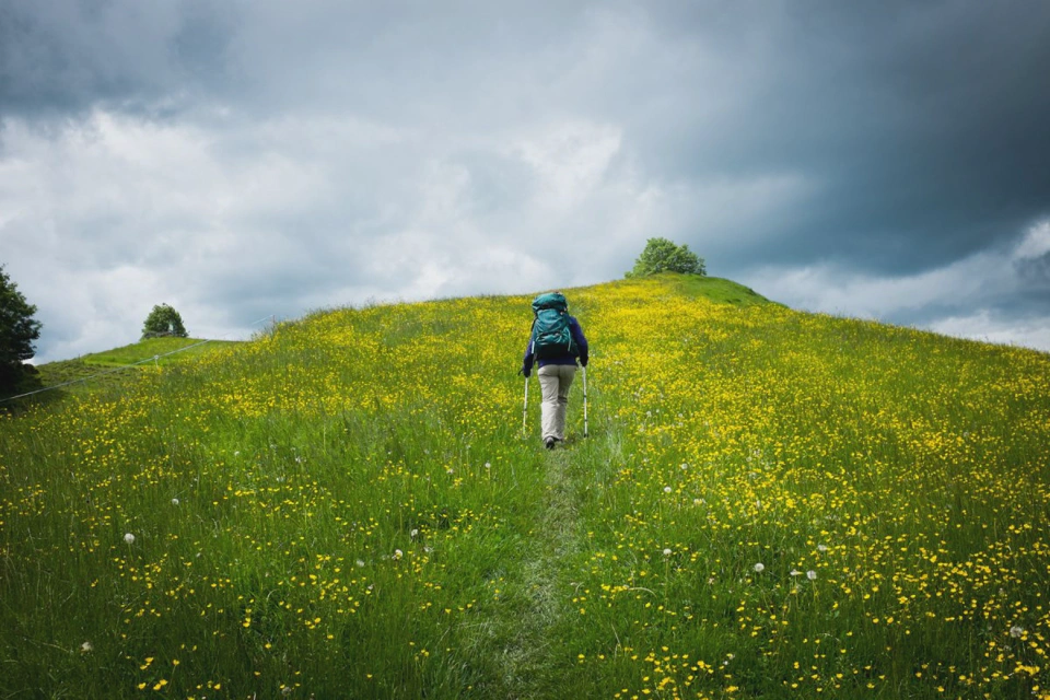 female-backpacker-hiking-up-yellow-flowers-hill.webp