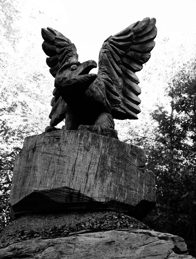 bw-wooden-statue-of-an-eagle.webp