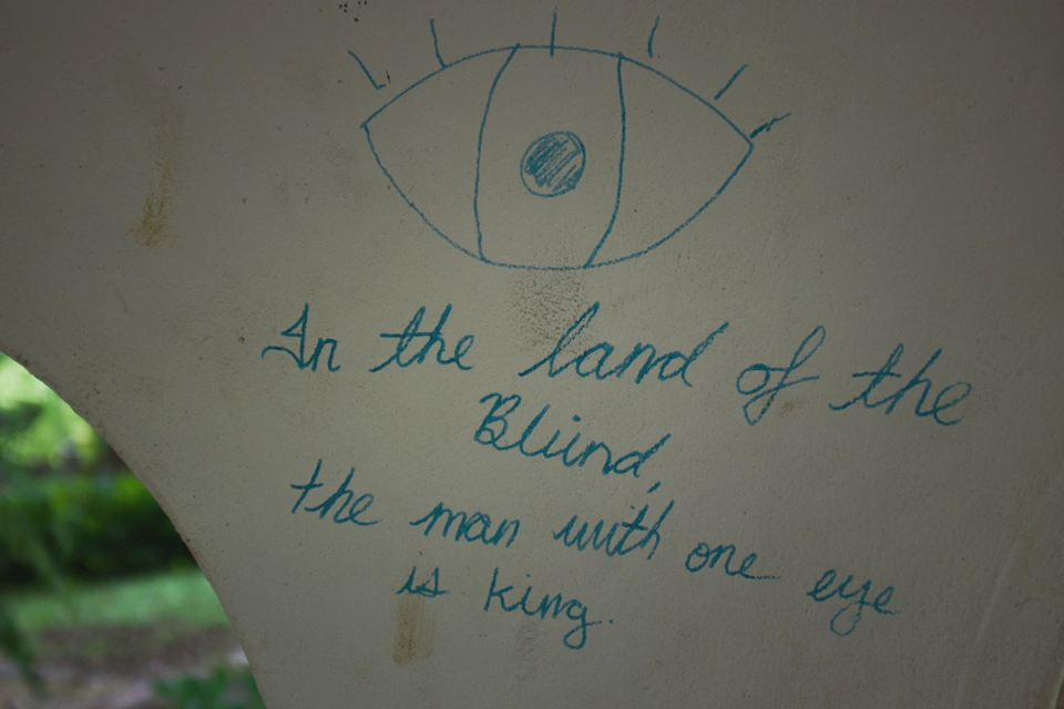 ‘In the land of the blind, the man with one eye is king’, written in the walls of a small old structure in a park.
