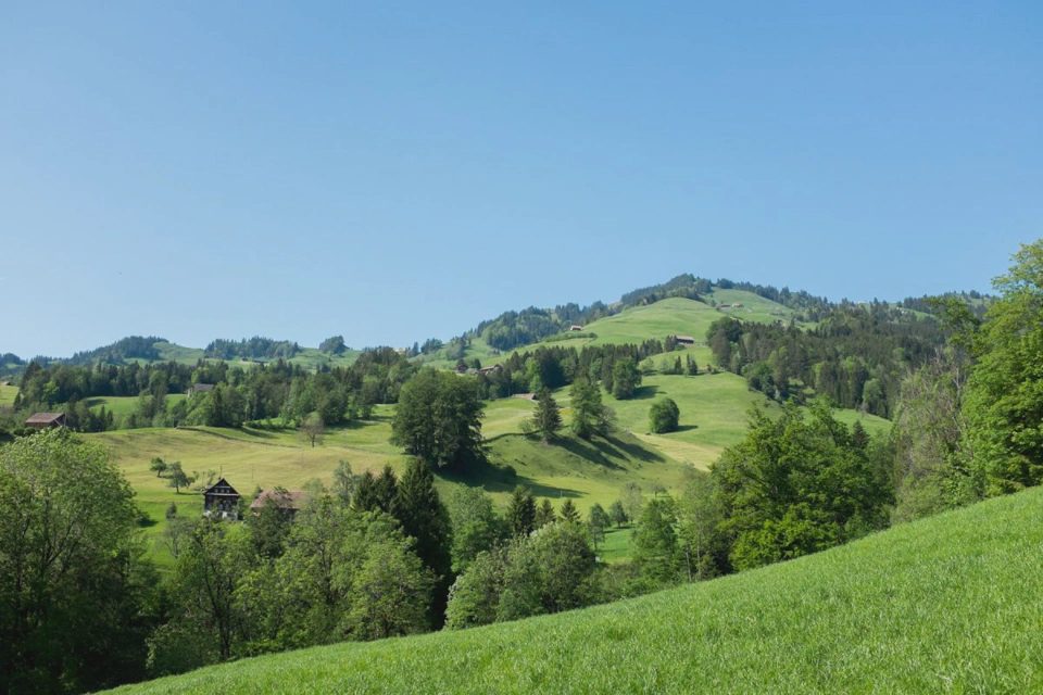 hill-prairies-and-trees-sunny.webp