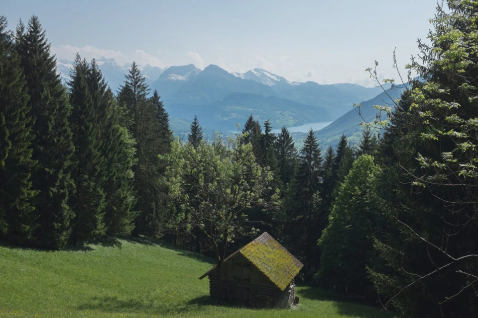 The alps in the back with Lake Lucerne in the front.