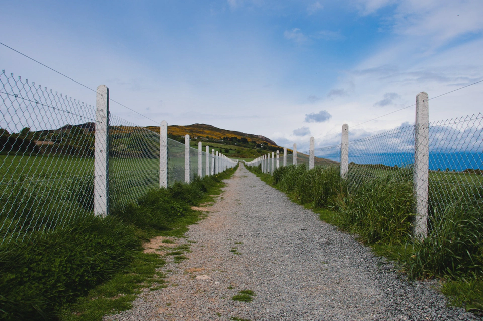 fenced-dirt-road-through-fields.webp