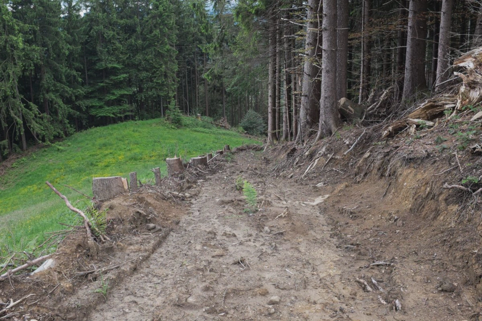 “Hmm, I like this part of the trail, it looks very rough and natural”.