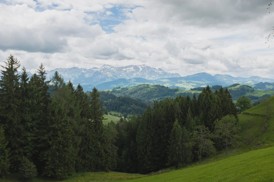 swiss-mountains-from-trail-near-trogen.webp