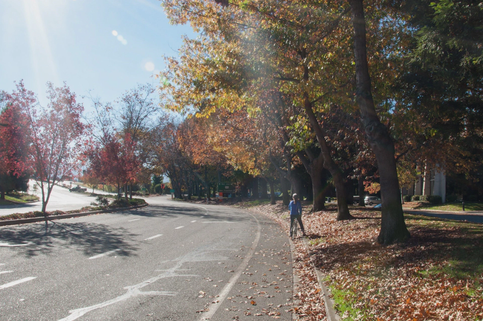 mountain-view-road-near-google-campus-in-autumn.webp