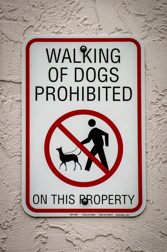 So, that means that I should respect my dog’s freedom and let him walk by himself, right?