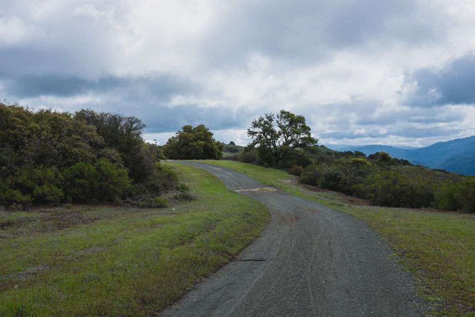 View of the other side of the hill.