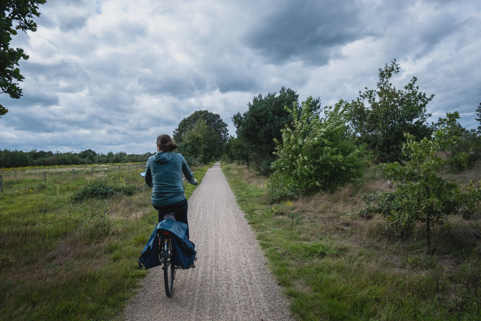 A windy and cloudy Dutch nature landscape.