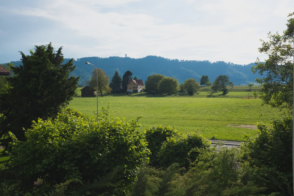 View from our balcony.