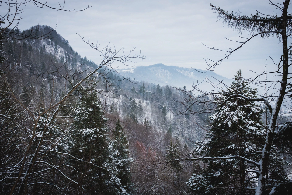 Uetliberg in winter.