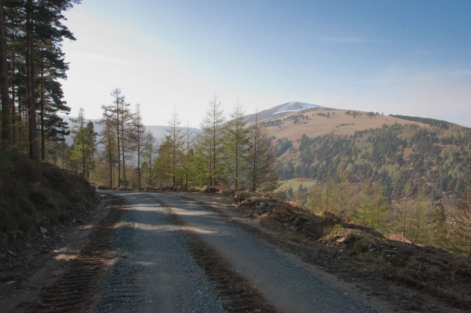 dirt-mountain-road-in-glendalough-valley.webp