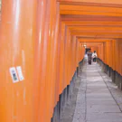 /attachments/trips/kyoto-2/camino-fushimini-inari-shrine-templo-de-los-1000-torii_hu17338681830705474025.webp