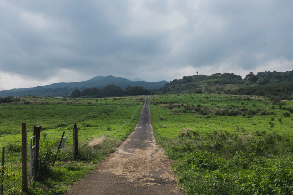 Paved trail leading to the end of the civilized part of the island after reaching the end of the Hana highway.