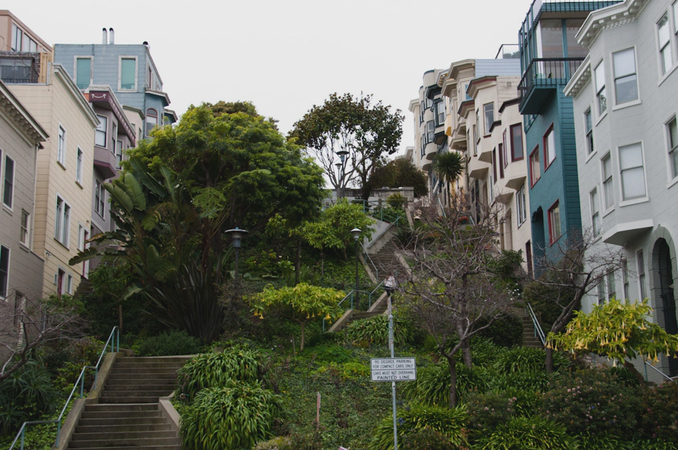 An escape from the surrounding never ending blocks of houses.