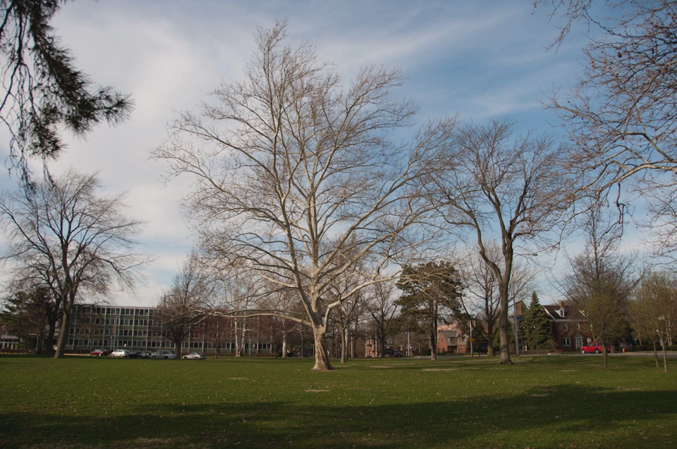 Más área verde entre residencias universitarias al sur del campus.